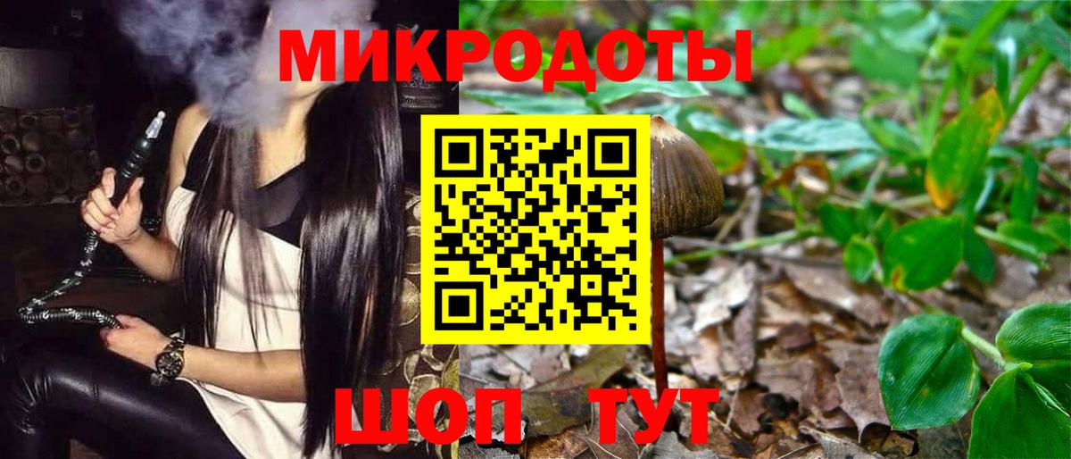 Псилоцибиновые грибы Psilocybine cubensis Мытищи