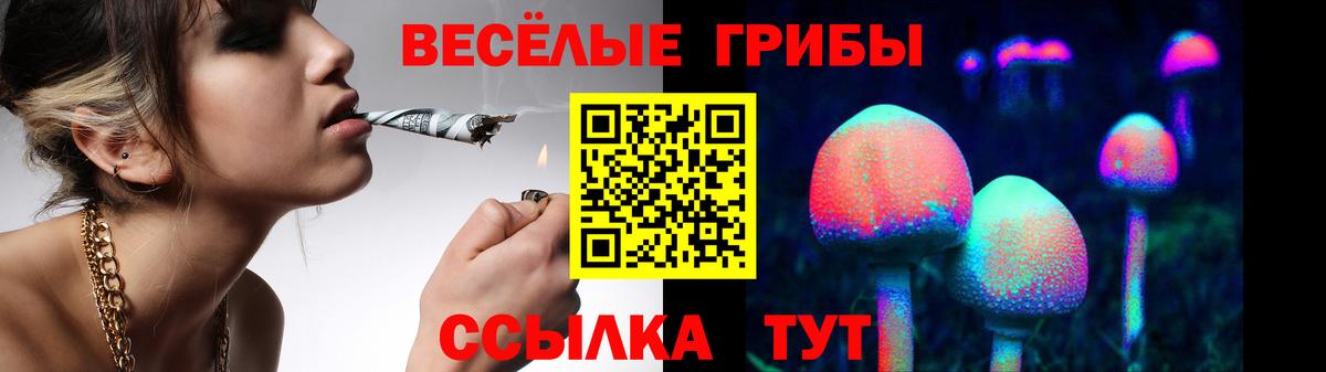 Галлюциногенные грибы Psilocybine cubensis  Вход с VPN  Мытищи  Псилоцибиновые грибы Psilocybine cubensis 